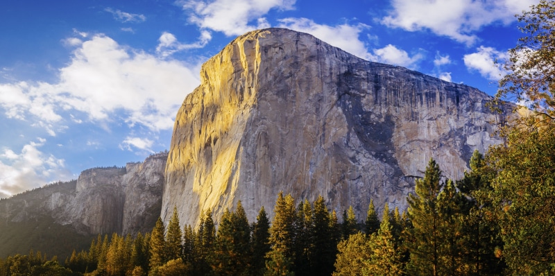 low angle view, mountain peak, tranquil scene, outdoors, el, clouds, leaves, trees, pine tree, yosemite National Park, rocky mountains, travel destinations