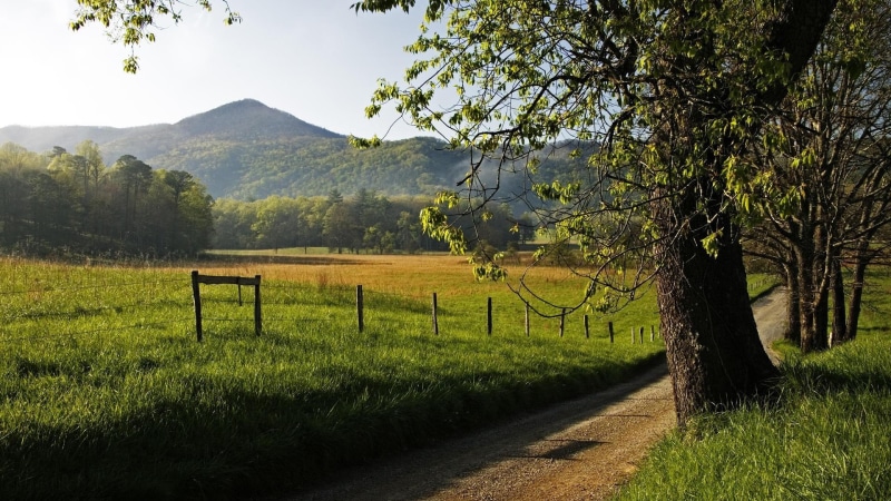 national park, 1920x1080, tennessee, great smoky mountains, 1080P, field, green, great, national, park, smoky, mountains, nature