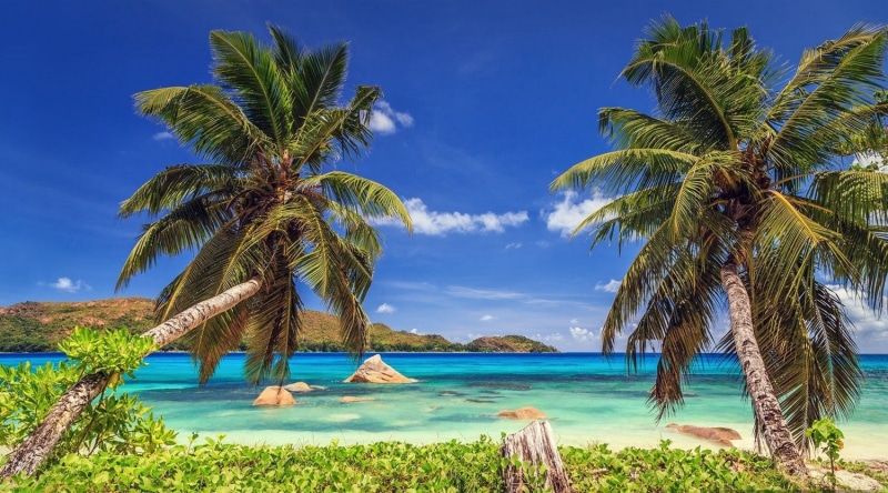 idyllic, sky, scenics - nature, landscape, 720P, land, Seychelles, blue, water, beach, coconut palm tree, horizon over water, palm tree, tranquil scene