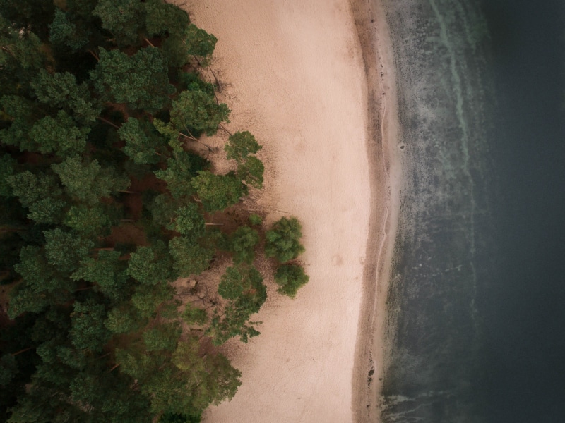 beach, no people, nature, sun, forest, high angle view, 2K, landscape, plant, sea, coast, eyeview, seashore, road, field, green, shore, tranquility, photo