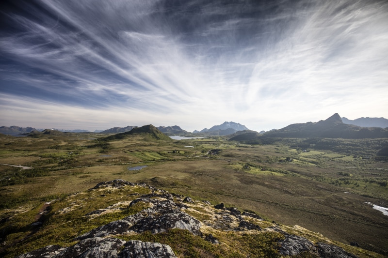 beauty in nature, scenery, field, non-urban scene, tranquility, environment, grass, mountain range, scenics - nature, lofoten, arctic circle, mountain