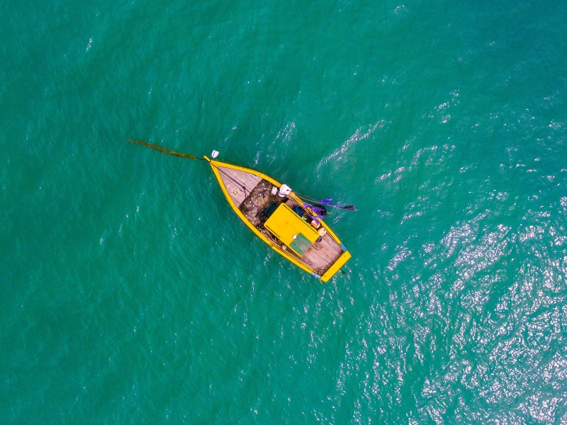 view, oar, day, travel, photography, drone view, no people, floating on water, bird, yellow, people, body, ocean, recreational Pursuit, rowboat, s, turquoise colored
