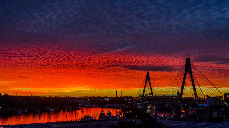 australia, birds, night, silhouette, illuminated, transportation, nautical vessel, sky, sydney, hour, heaven, orange color, city, architecture, beauty in nature