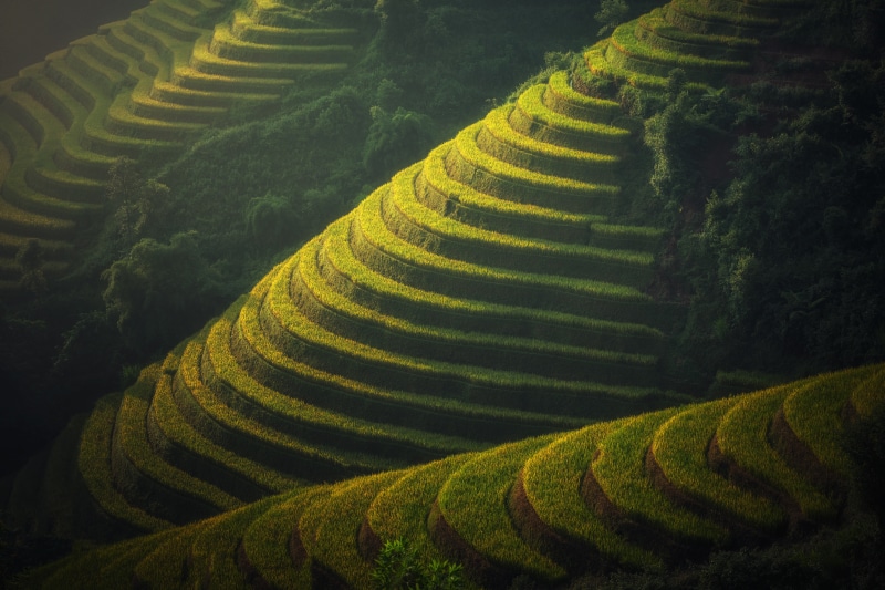 Village, 5K, Bali, Farm, 8K, 4K