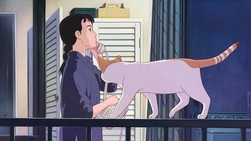 1080P, only yesterday