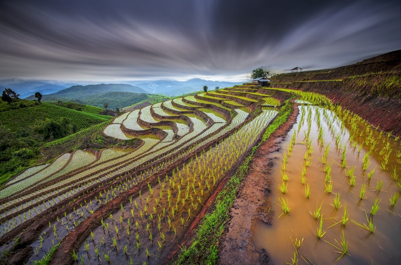 blue, dirt, vineyard, mountain, excerpt, beauty In Nature, water, dawn, the slopes, morning, field, architecture, autumn, land, angkhang, village, sky