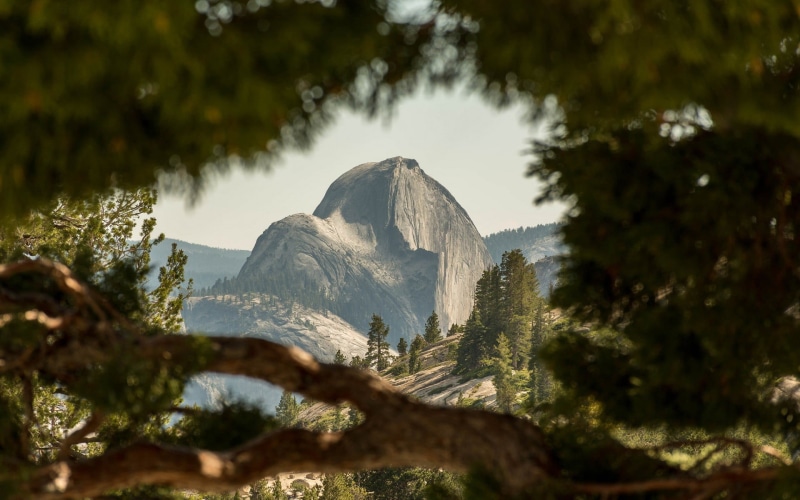 beauty in nature, tranquility, no people, geology, tranquil scene, brown, mountains, rock, land, remote, national park, mountain, trees, USA, outdoors