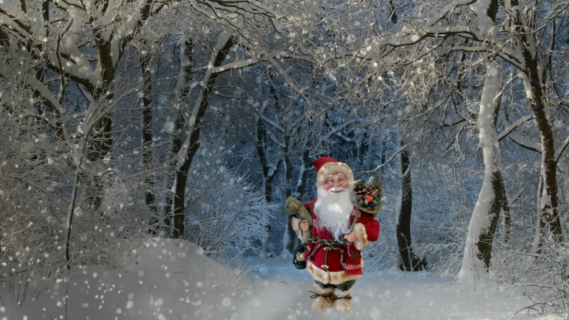 white, land, winter, cold temperature, cheerful, holiday, branch, cute, smiling, hat, human representation, cultures, women, snow, Christmas, season, snowing