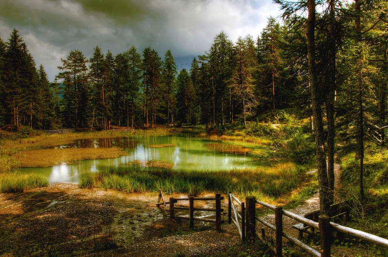 surrounded, plant, nature, photo, view, Bergsee, mountains, sky, Alpine, trees, italy, hiking, water, rural Scene, landscape, holiday, alpine, unesco world heritage