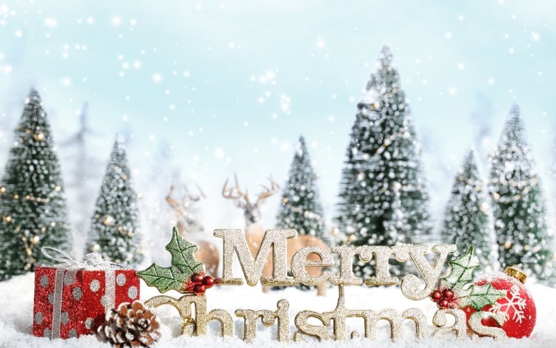 merry, spruce, Christmas, christmas ornament, plant, bump, new yaer, pine tree, HD, christmas tree, outdoors, fir tree, blur, snowing