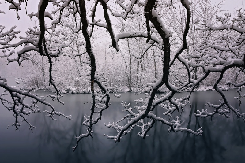 natural, water, beauty in nature, blue, day, bare tree, fog, scenic, seasons, reflection, holiday, ice, springtime, new, grayscale, snow, winter, covered