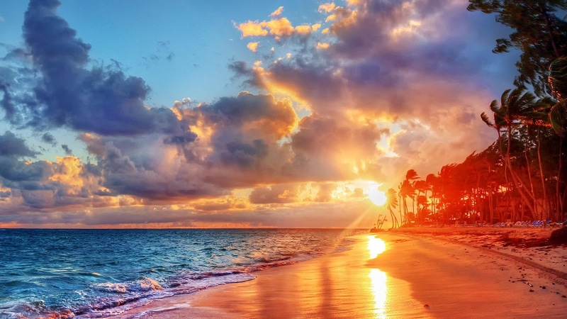 sand, nature, sea shore, shore, sunray, sea, palms, 1080P, beach, sunset