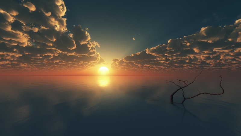 sunray, afterglow, sunset, waterscape, sky, tree, horizon, calm, cloud, atmosphere, sun, sunlight, 4K
