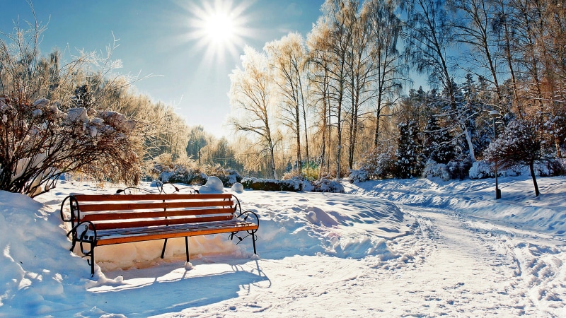sky, nature, bench, sunlight, winter, frost, sunray, tree, landscape, sun, snow, rays, sunshine, park, freezing, 4K