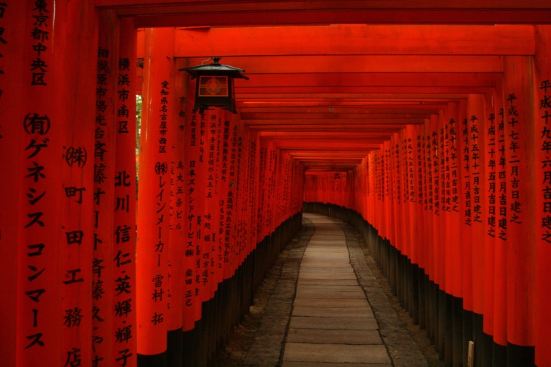 shrine, built structure, tori, japan, building, 4K, architectural column, long, lighting equipment, red, gates, the way forward, buddhism, belief, architecture
