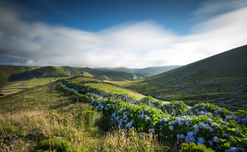 canon5d, growth, scenics - nature, canon, longexposure, mountain range, hortensia, rolling landscape, Scenery, Exposure, Blue, no people, Photography, Flowers