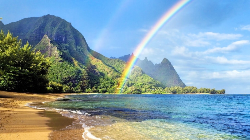 exotic, seeshore, rainbow, water, bleu, landscape, green, nature, yellow, see, sand, 1080P, tree, shore