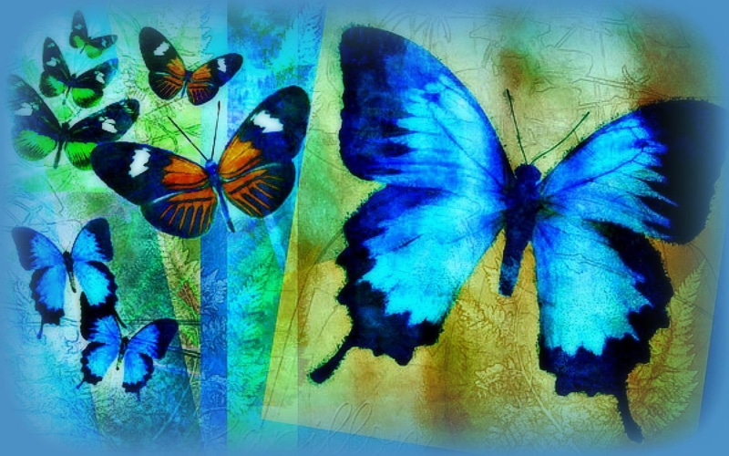 creative-pre--made, butterfly-designs, drawings, blue-butterflies, softness-beauty, bleu, cool, lovely, paintings, papillon, 1080P