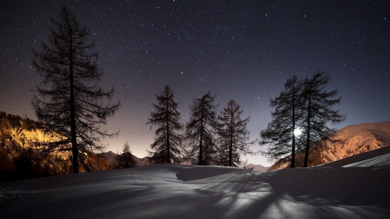 tree, freeze, sky, beauty in nature, plant, environment, winter, nature, night, sun, tranquility, landscape, space, scenics - nature, moon, bleu, land