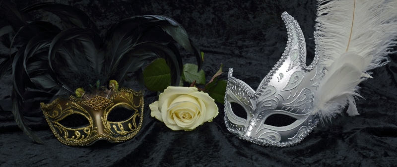 feather, white, disguise, creativity, mask, carnival - celebration event, mask - disguise, close, no people, header, beside, pattern, 4K, close-up, flower