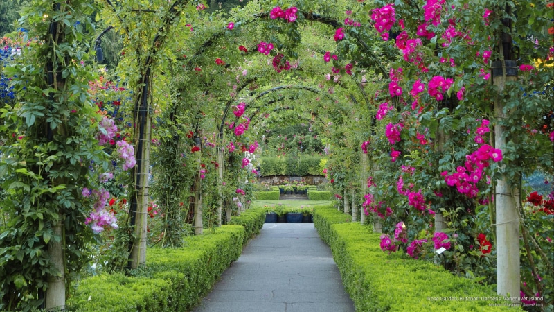 gardens, butchart, Flowers/Gardens, 2K, rose, garden, island, vancouver