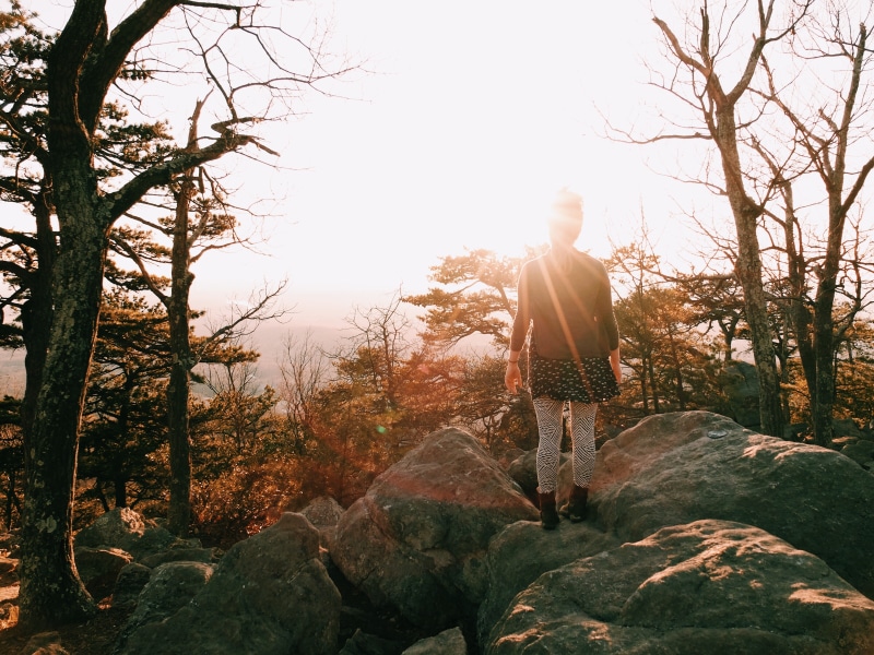 woodland, full length, standing, casual clothing, mountain, united states, sunshine, land, rear view, rock, dickerson, sugarloaf mountain park, trees, spring