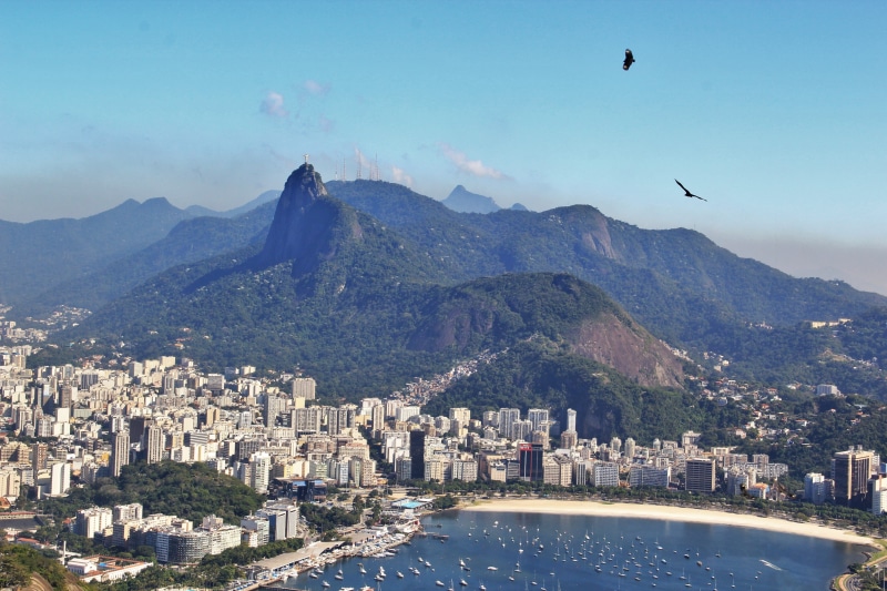 views of corcovado, animal themes, brazil, white, gorgeous, nature, aerial, flying, sea, view, unique, holiday, animal, landmark, second largest city in brazil