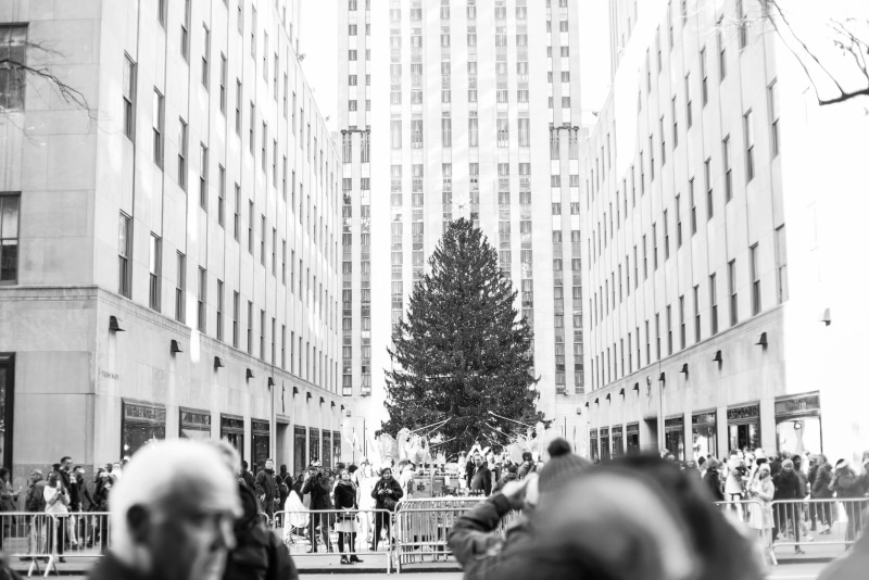 men, pedestrian, office building exterior, city life, architecture, day, building, plant, downtown, real people, photo, high rise, path, women, urban, town