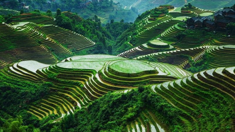 scenics - nature, tranquility, beautiful, guangxi, mountain, landscape, terraces, rice paddy, tranquil scene, environment, land, rural scene, terrace, no people