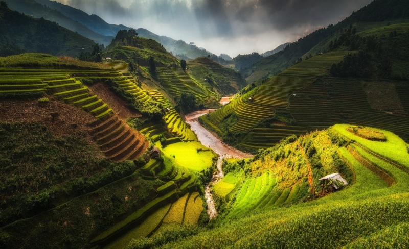 Rice Terrace, 1080P, terraced field, nature, clouds