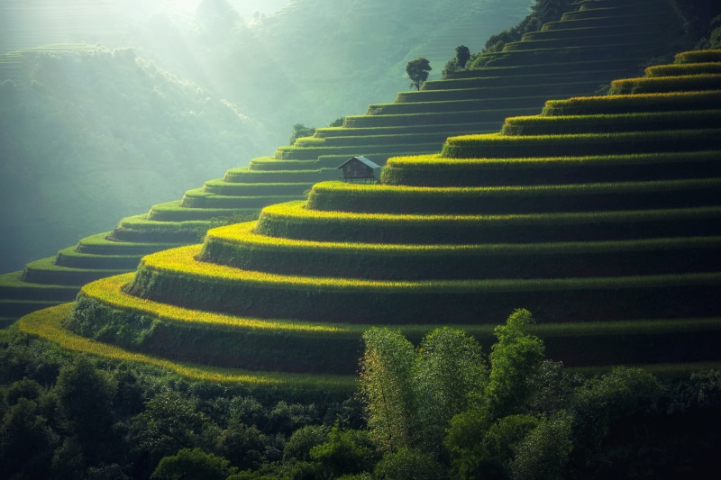 5K, 4K, Agriculture, 8K, Terrace farming, Farm