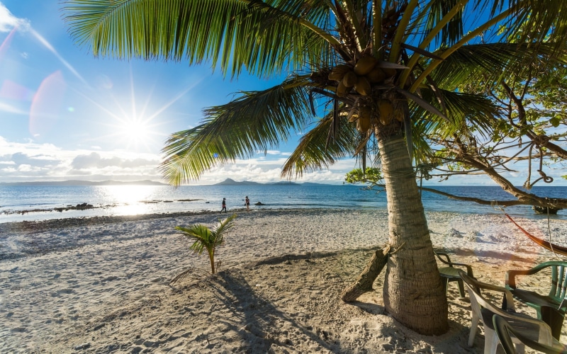 palm, landscape, summer, beach, island, sea, 1080P, sunlight, tropical, palm trees, sand, trees, nature