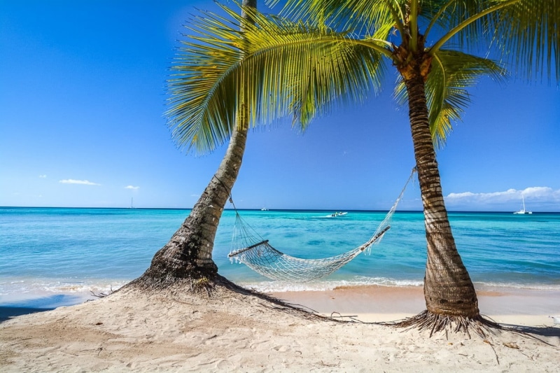 tahiti, blue, 480P, plant, coconut, tranquil scene, trees, cyan, tropical, sky, tranquility, palm trees, horizon over water, outdoors, travel destinations