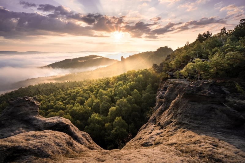 2K, outdoors, forest, hour, beauty In Nature, sunset, sky, cloudy, gray, summer, landscape, mountains, sunrise - Dawn, mountain, tree, golden, scenics