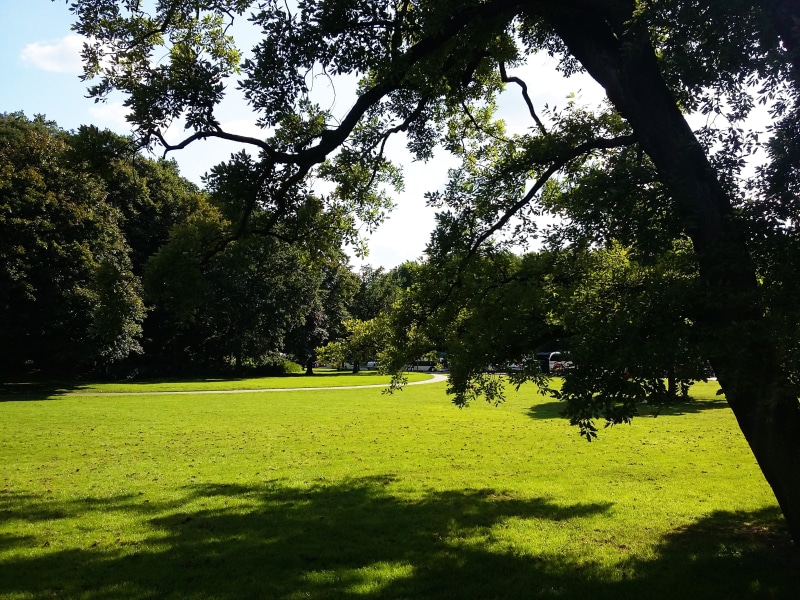 leisure activity, city, trip, tour, parks, plant, plants, trees, outdoors, landscape, park, grass, prato, tourist, tree, green color, day light, scenics - nature