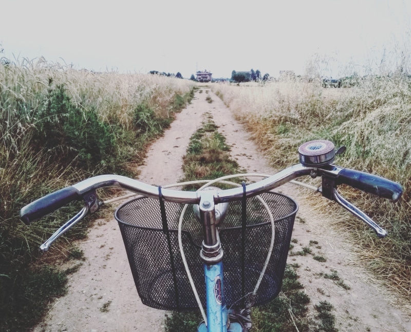 grass, wheat, green, transportation, campaign, no people, day, outdoors, vintage, adventure, 2K, field, the way forward, blue, leisure, land, handlebars
