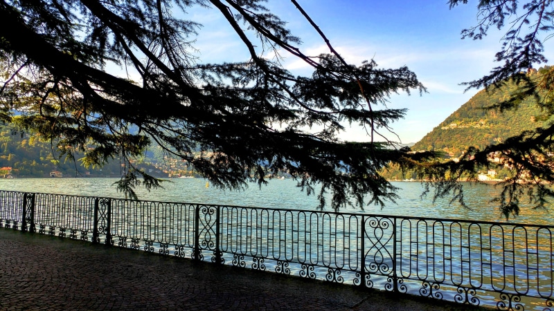 tree, no people, lake como, barrier, tranquil scene, como, sea, boundary, trip, passage, panoramic, scenics - nature, fence, beauty in nature, tranquility