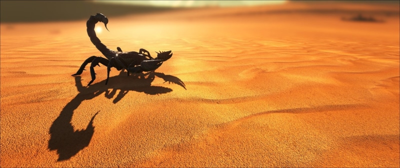 ARK: Survival Evolved, pedal, sunlight, high angle view, nature, Scorpion, riding, transportation, day, Video Game, land, Desert, outdoors, landscape, shadow