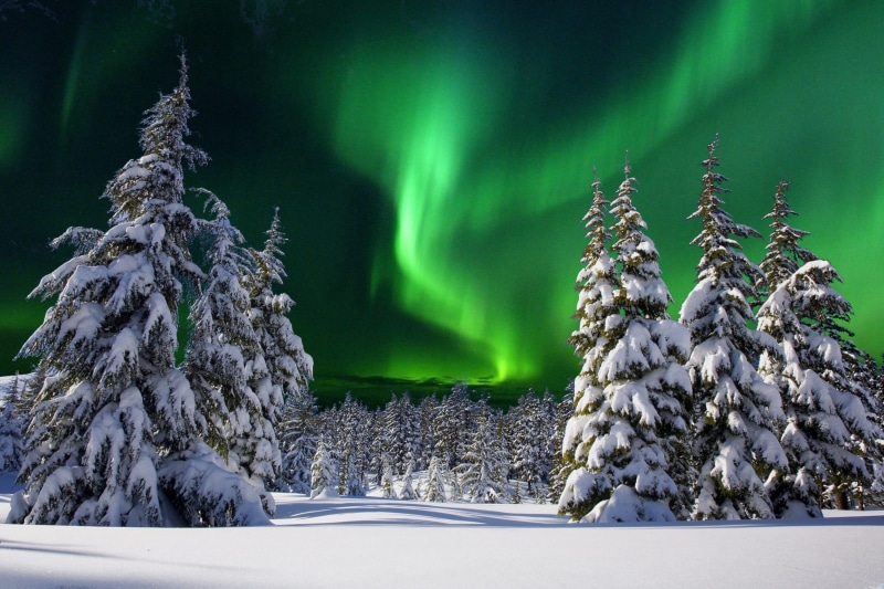 white, beauty in nature, sky, mountain, tranquility, landscape, tranquil scene, scenics - nature, ice, non-urban scene, night, lights, fir, snow, environment