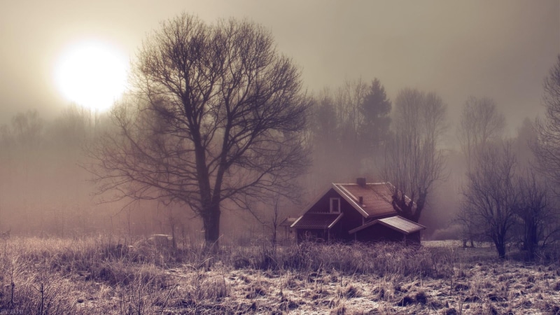 no people, built structure, sky, farm, environment, landscape, outdoors, winter, building, plant, woody plant, tranquility, field, building exterior, mist