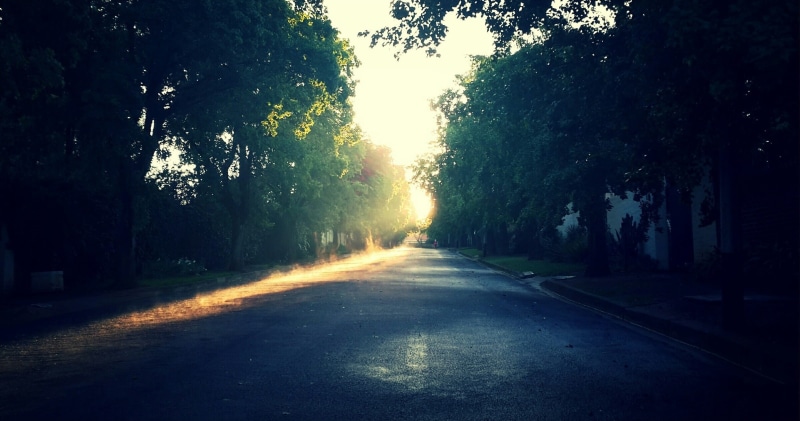 vanishing point, tree, outdoors, transportation, light, atmospheric phenomenon, weather, computer, beauty in nature, woody plant, sun, dawn, nature