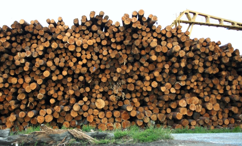 heap, business, industrial, pine, structure, texture, stacking, fuel, wooden, recycling, trunk, backgrounds, fuelwood, abundance, pattern, deforestation