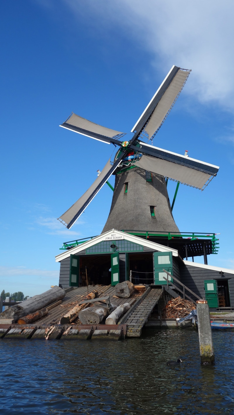 zaanse schans, traditional, tourism, wind turbine, zaandam, outdoors, alternative energy, environmental conservation, sky, architecture, nature, wind power