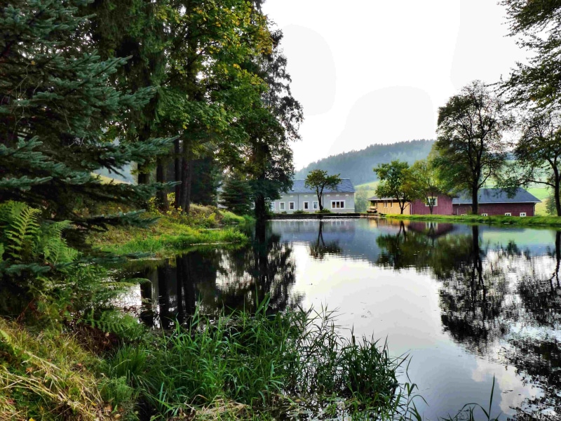 trees, built structure, growth, nautical vessel, houses, plant, scenics - nature, reflection, tranquil scene, river, nature, tranquility, outdoors, saupsdorf