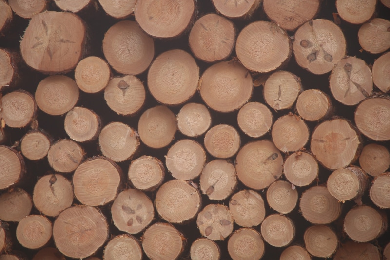 5K, pattern, wood, no people, outdoors, full frame, fuel and power generation, lumber, woodpile, woods, united states, abundance, forest, cannon township