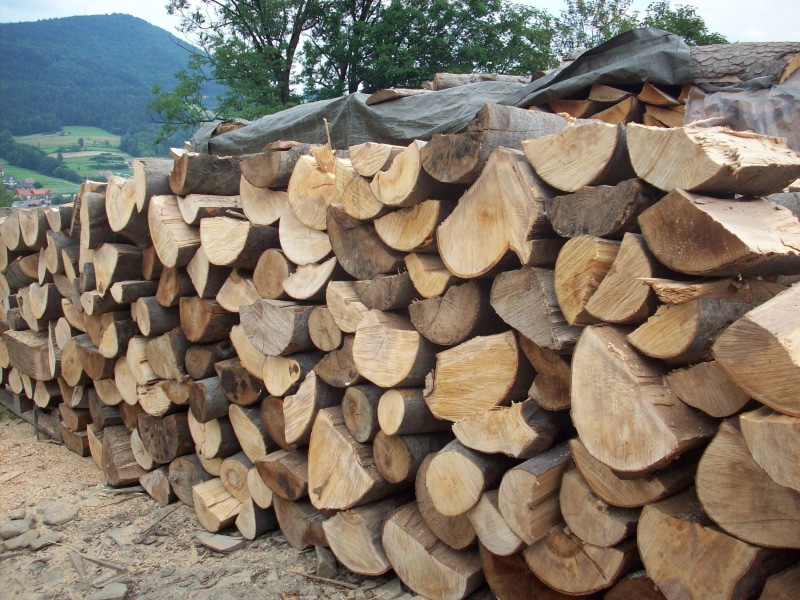 abundance, large group of objects, woodpile, heap, firewood, day, Logs, chopped, Sawmill, environmental issues, lumber industry, timber, fuel and power generation
