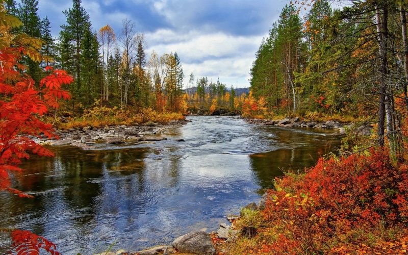 Nature, Trees, River, Scenery, Autumn, 1080P