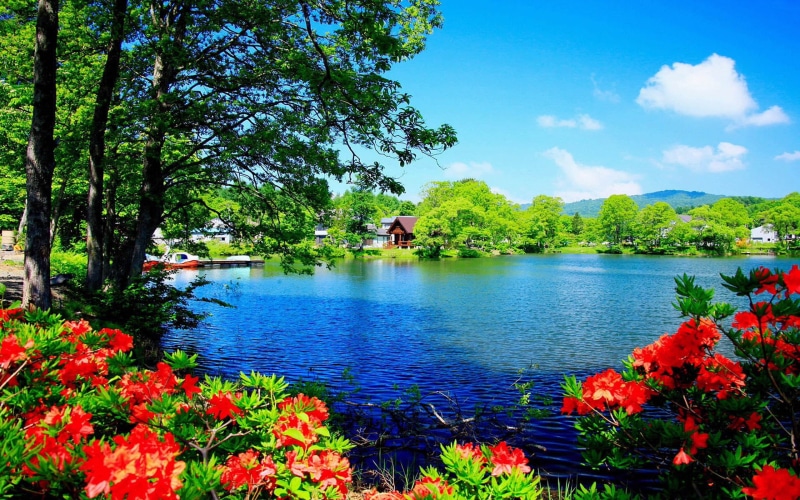 nature, 2K, desktop, hd, scenery, beautiful