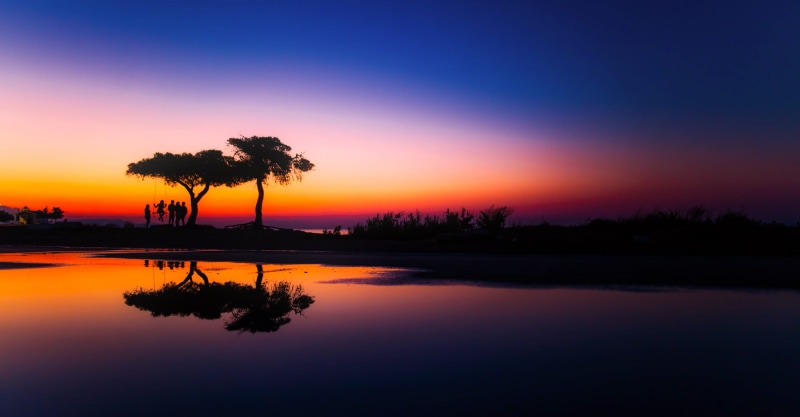 tree, fun, trees, ocean, sun, idyllic, swing, non-urban scene, scenics - nature, no people, sea, people, river, orange color, enjoyment, tranquility, playing