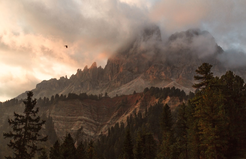 scenics - nature, trees, landscape, clouds, scenic, pine trees, mountain range, cloudy, travel, nature, rock, mountain, sunset, forest, coniferous tree